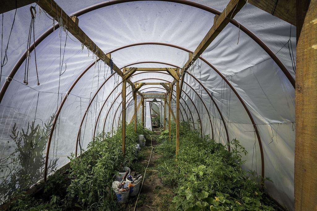אל בולסון Earthship Patagonia Eco Accommodations מראה חיצוני תמונה